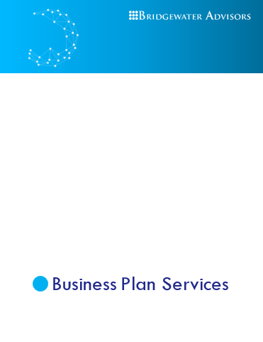 Business Plan Services