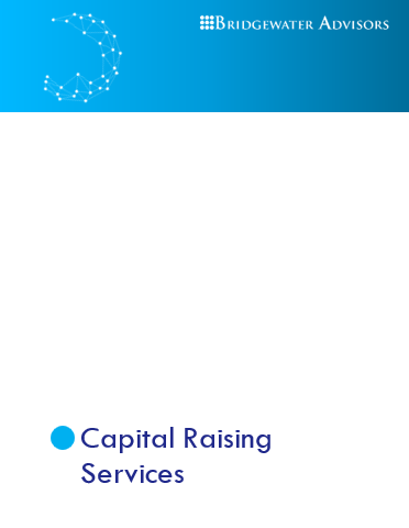 Capital Raising Services